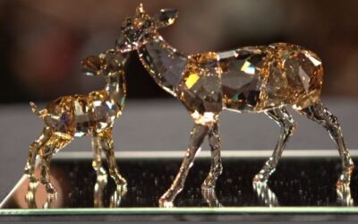 10.Tiroler Märchenpreis 2013