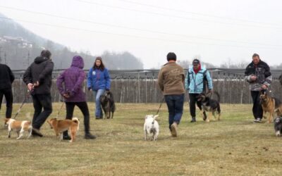 Schäferhundeverein Ortsgruppe Wattens-Fritzens
