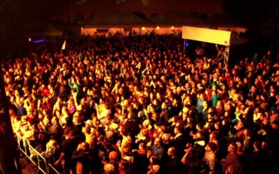 Wiesenrock 2014